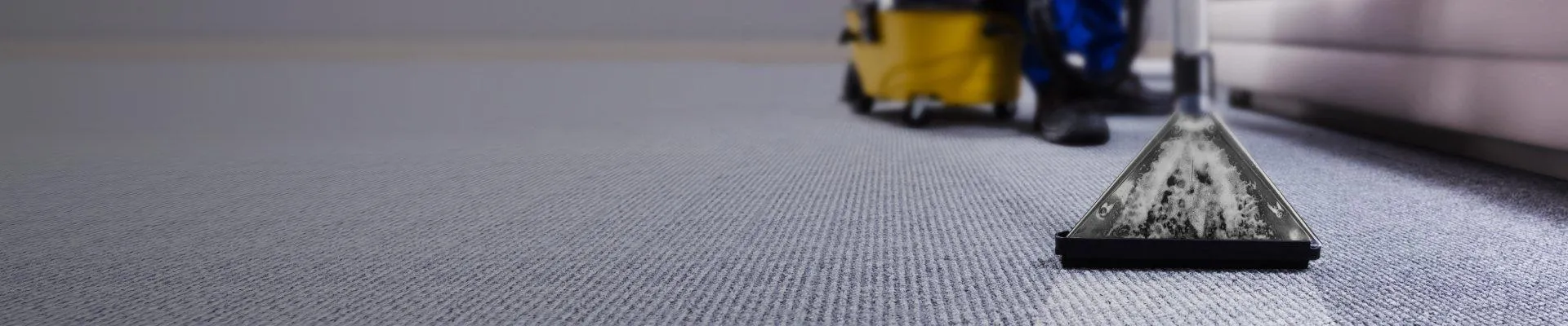 ПОДДЪРЖАНЕ НА ЧИСТОТА