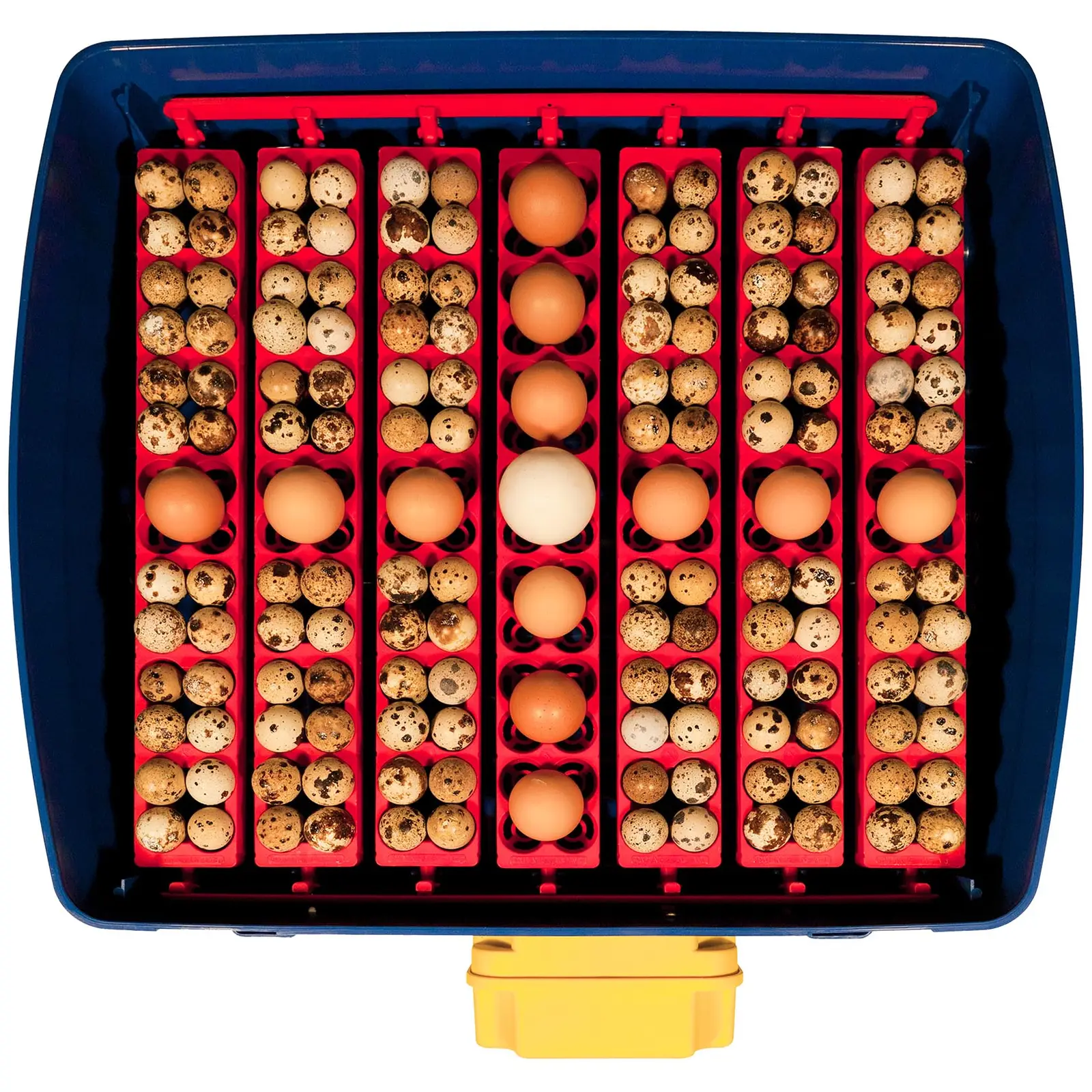 Инкубатор - 49 яйца - включително система за поливане - напълно автоматичен